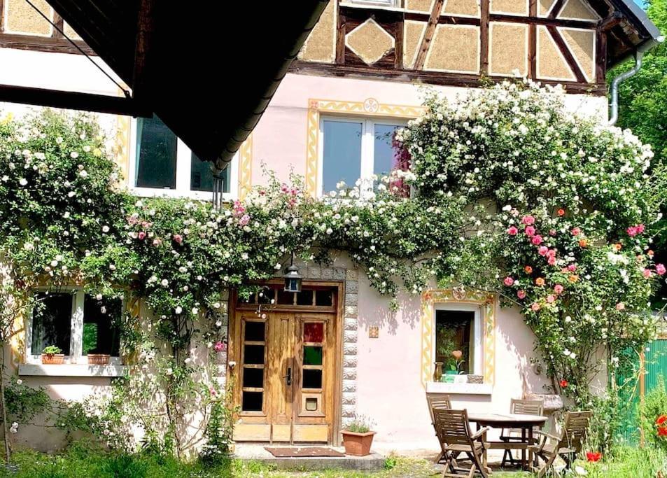 Kleine Kunstremise Mit Holzofen Burg Freienfels Apartment Weinbach Luaran gambar